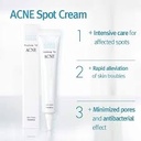 Pyunkang Yul Acne Spot Cream 15ml
