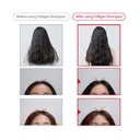 Dr.FORHAIR Folligen Original Shampoo 500ml 