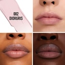 Dior Rogue Dior Diorgris Balm 002