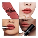 Dior Rouge Longwear Lipstick 434 Promenade Satin