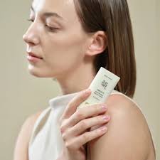 Beauty Of Joseon Matte Sun Stick Mugwort + Camelia Spf50+ 18g