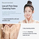 Pyunkang Yul Low pH Pore Deep Cleansing Foam 100ml