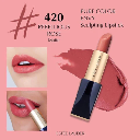 Estee Lauder Pure Color Lipstick Envy Matte 420