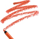 Lancome Le Lip Liner 66