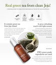 Isntree Green Tea Fresh Emulsion