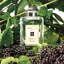 Jo Malone Blackberry & Bay 30ml