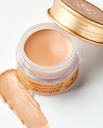 SkinFood SALMON DARKCIRCLE CONCEALER CREAM 01 BLOOMING 10G