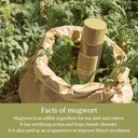 I'm From MUGWORT ESSENCE 160ML