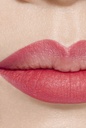 Chanel Longwear Lip Pencil Tester 196